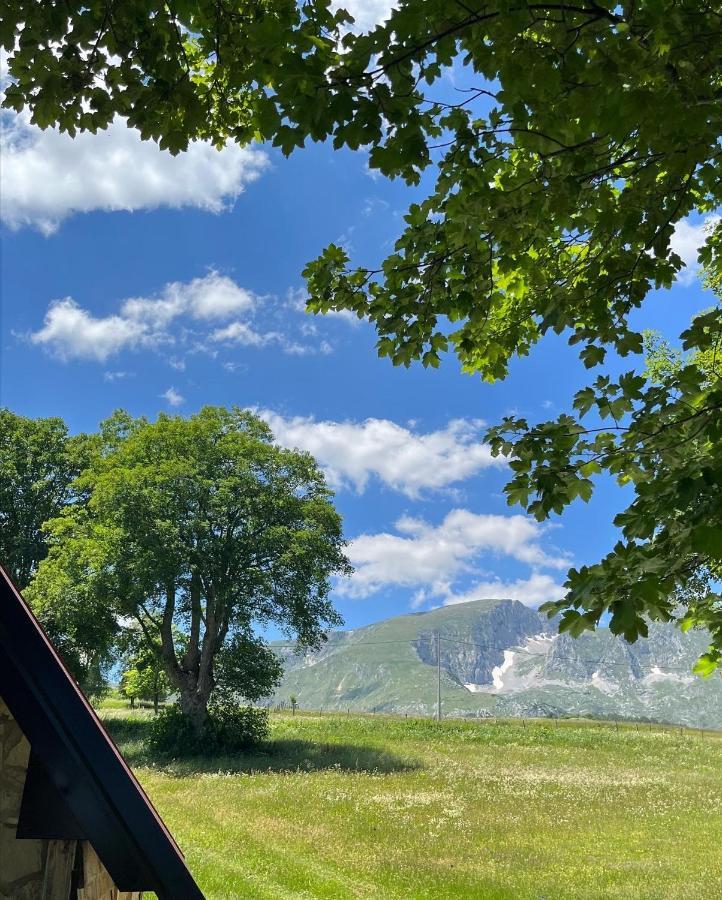 Apartman A&A Žabljak エクステリア 写真